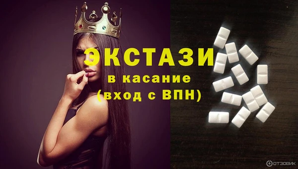 индика Медногорск