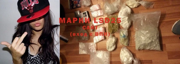 индика Медногорск