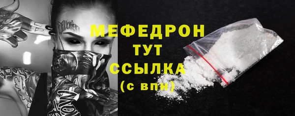 мдпв Михайлов