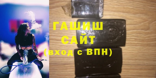 индика Медногорск