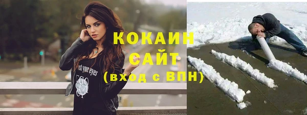 мдпв Михайлов