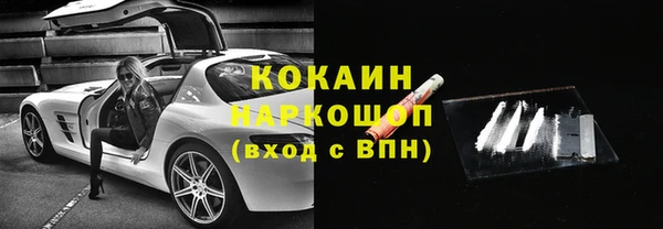 мдпв Михайлов