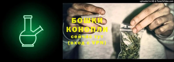 индика Медногорск