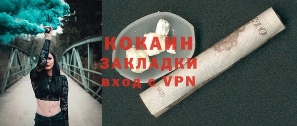 индика Медногорск