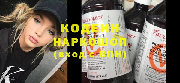 индика Медногорск