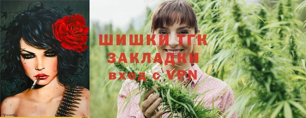 мдпв Михайлов