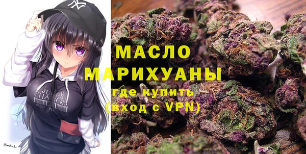 индика Медногорск