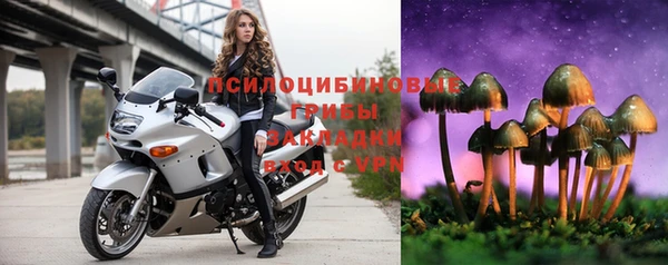 мдпв Михайлов