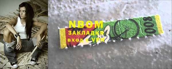 индика Медногорск