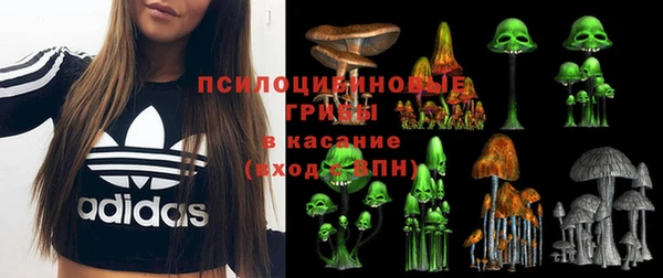 индика Медногорск