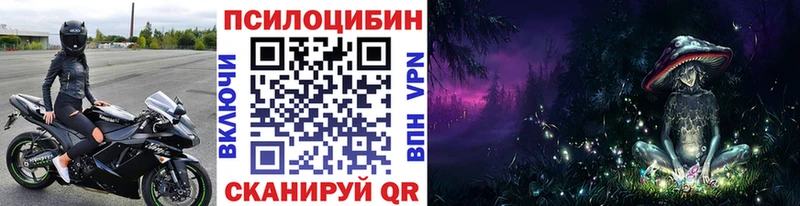 дарк нет состав  купить наркотик  Сосенский  Псилоцибиновые грибы Psilocybe 